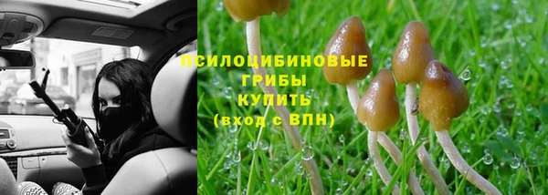 спайс Алексеевка
