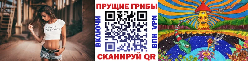 кракен ССЫЛКА  Мончегорск  нарко площадка телеграм  магазин  наркотиков  Галлюциногенные грибы Psilocybine cubensis 