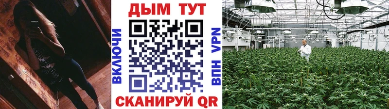 купить наркотик  ОМГ ОМГ ссылка  Канабис индика  Мончегорск 
